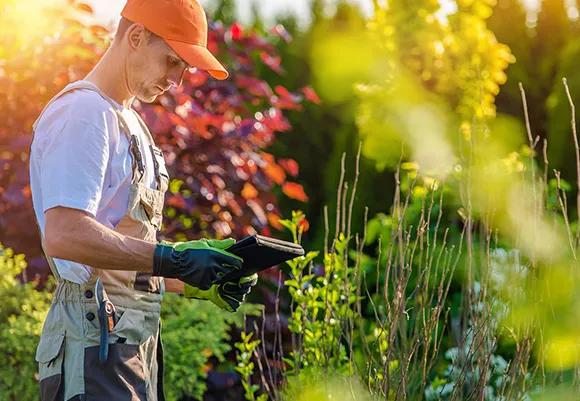 Benefits Of Professional Landscaping Services