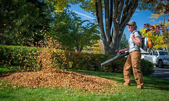 Reliable Landscaping Debris Removal in Amarillo