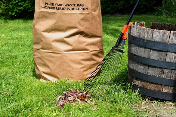 Top Benefits Of Waste Disposal Services