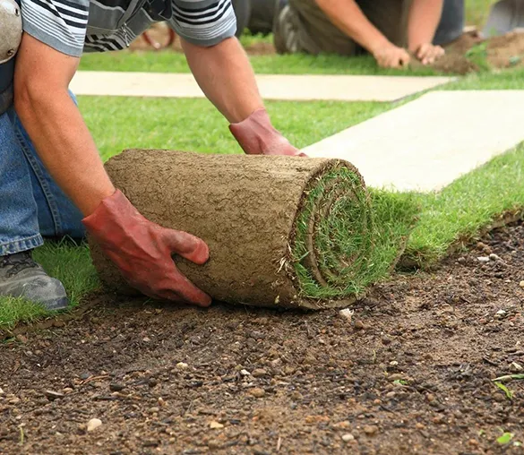 Top-Notch Landscaping Services in Hereford TX