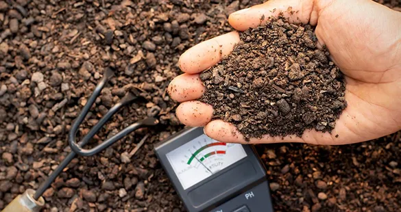 Trusted Soil And Mulch Removal Services in Hereford TX